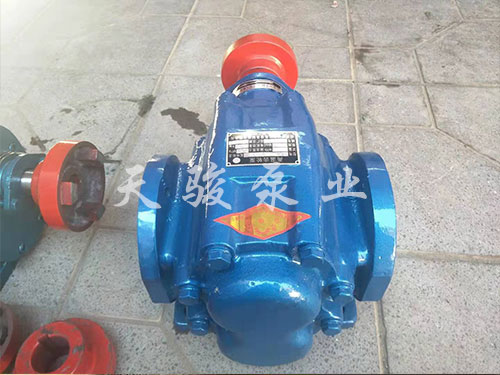 上海2CG石蜡油泵
