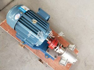 天骏泵业齿轮泵分类